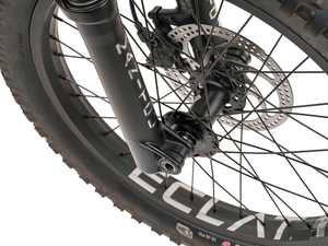 WeThePeople Swampmaster 20" Suspension BMX Bike