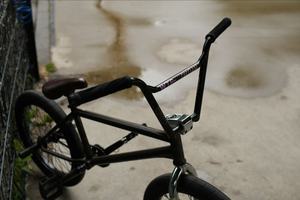 Wethepeople Everlast Bars