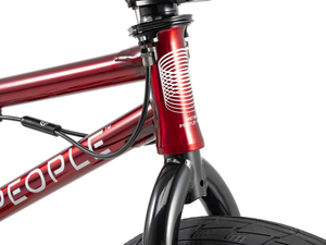 WeThePeople Versus 20" BMX Bike