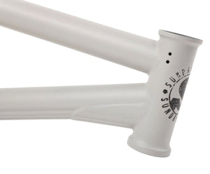 Sunday Wavelength Frame (Gary Young Signature) | Shop BMX online at RampFest Indoor Skatepark