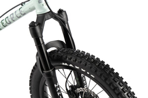 WeThePeople Swampmaster 20" Suspension BMX Bike