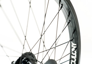 Colony Contour Swarm Freecoaster Wheel