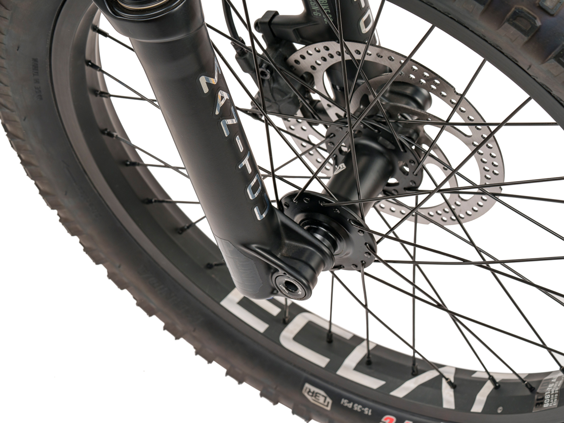 WeThePeople Swampmaster 20" Suspension BMX Bike