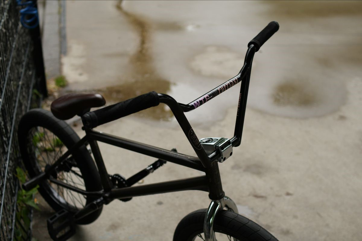 Wethepeople Everlast Bars