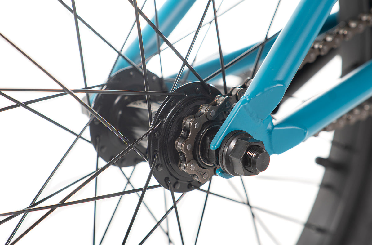 Academy Entrant 20" BMX Bike