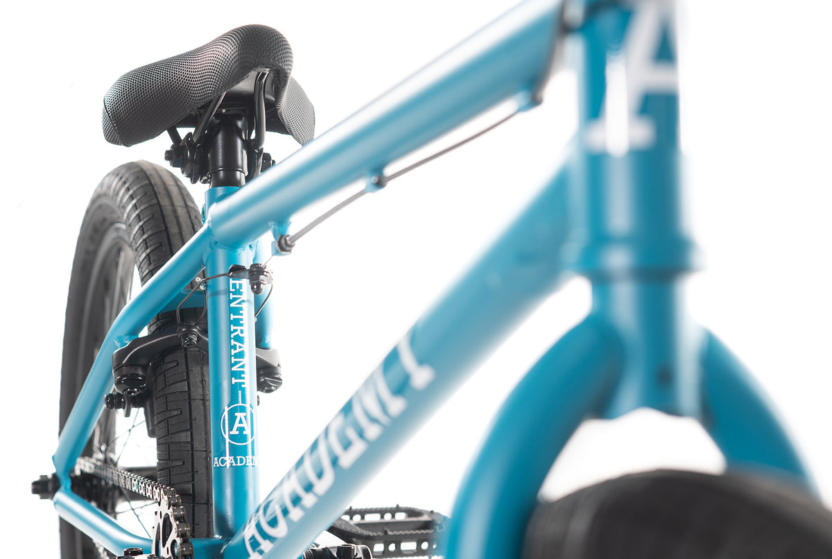 Academy Entrant 20" BMX Bike