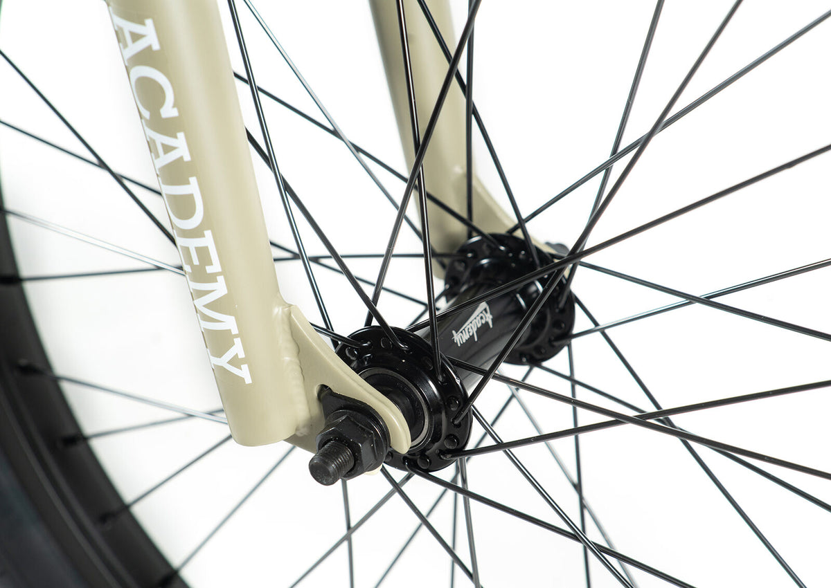 Academy Entrant 20" BMX Bike