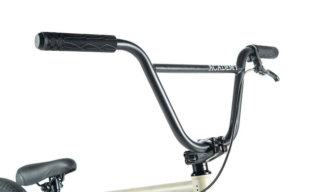 Academy Entrant 20" BMX Bike