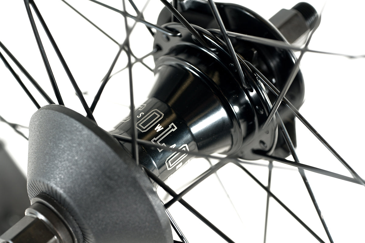 Colony Pintour Swarm Freecoaster Rear Wheel