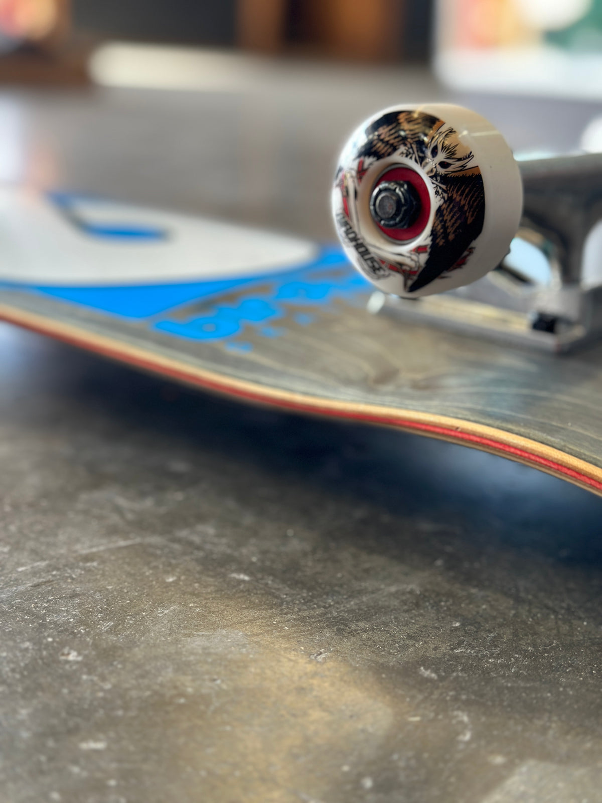 Birdhouse Custom Complete