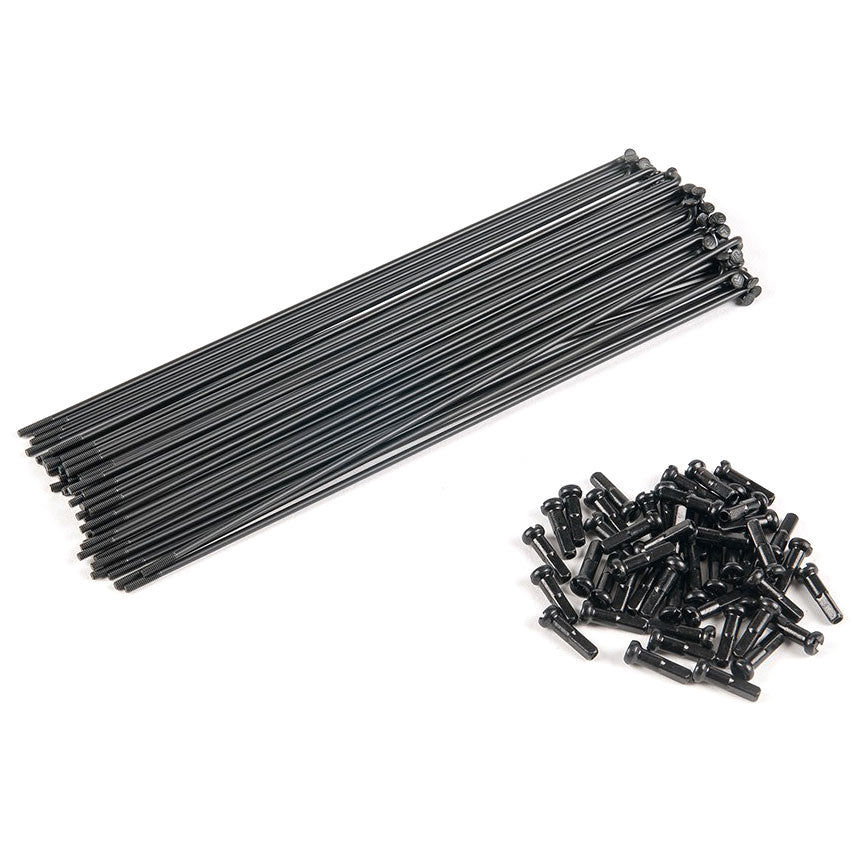 Eclat BMX Spokes - 40 Pack | Shop BMX online at RampFest Indoor Skatepark