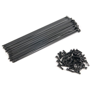 Eclat BMX Spokes - 40 Pack | Shop BMX online at RampFest Indoor Skatepark