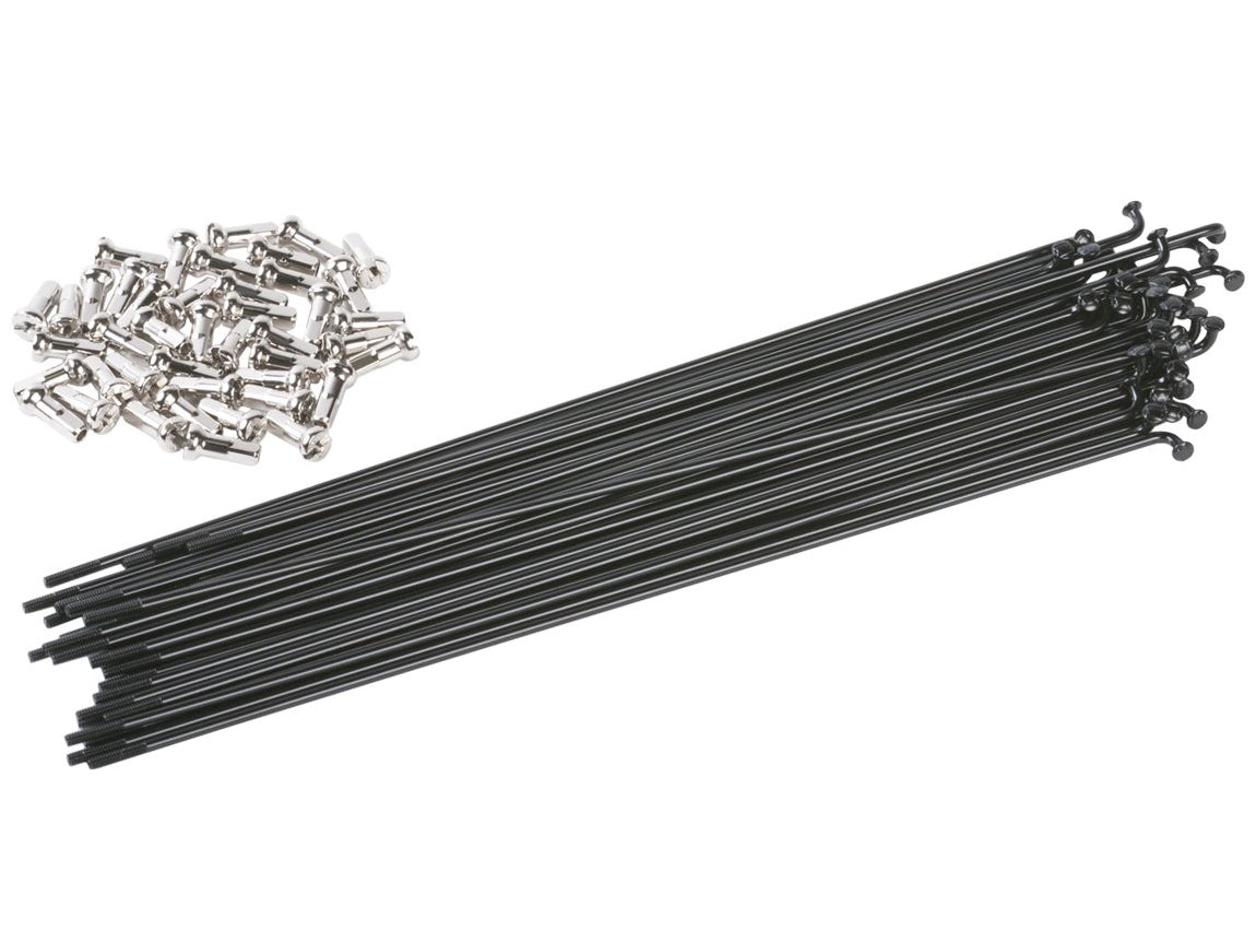 Odyssey BMX Spokes - 40 Pack | Shop BMX online at RampFest Indoor Skatepark