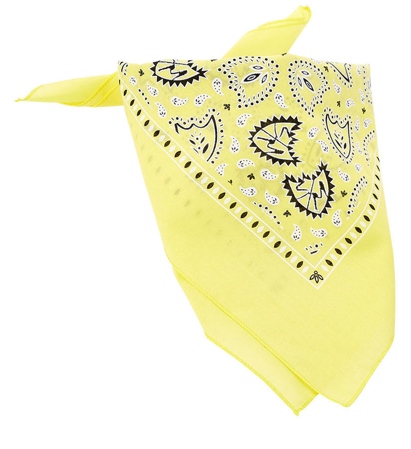 S&M Bandana | Shop BMX online at RampFest Indoor Skatepark