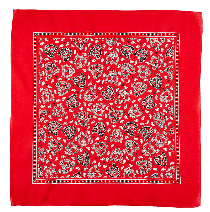 S&M Bandana | Shop BMX online at RampFest Indoor Skatepark