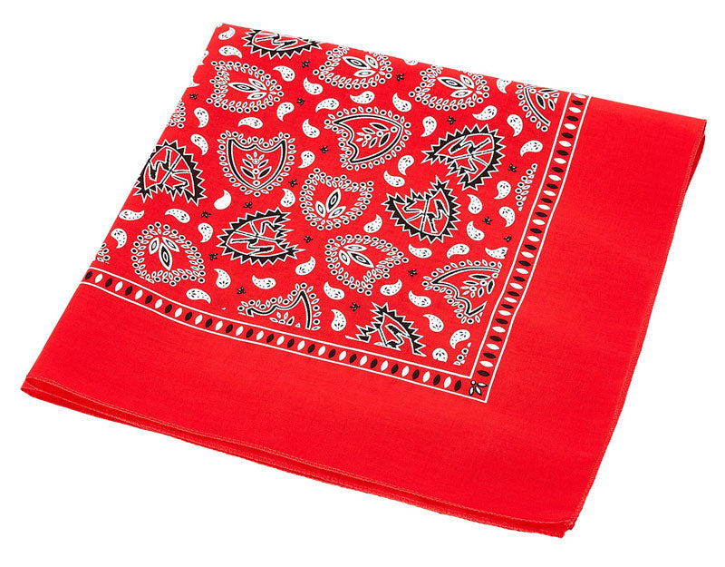 S&M Bandana | Shop BMX online at RampFest Indoor Skatepark