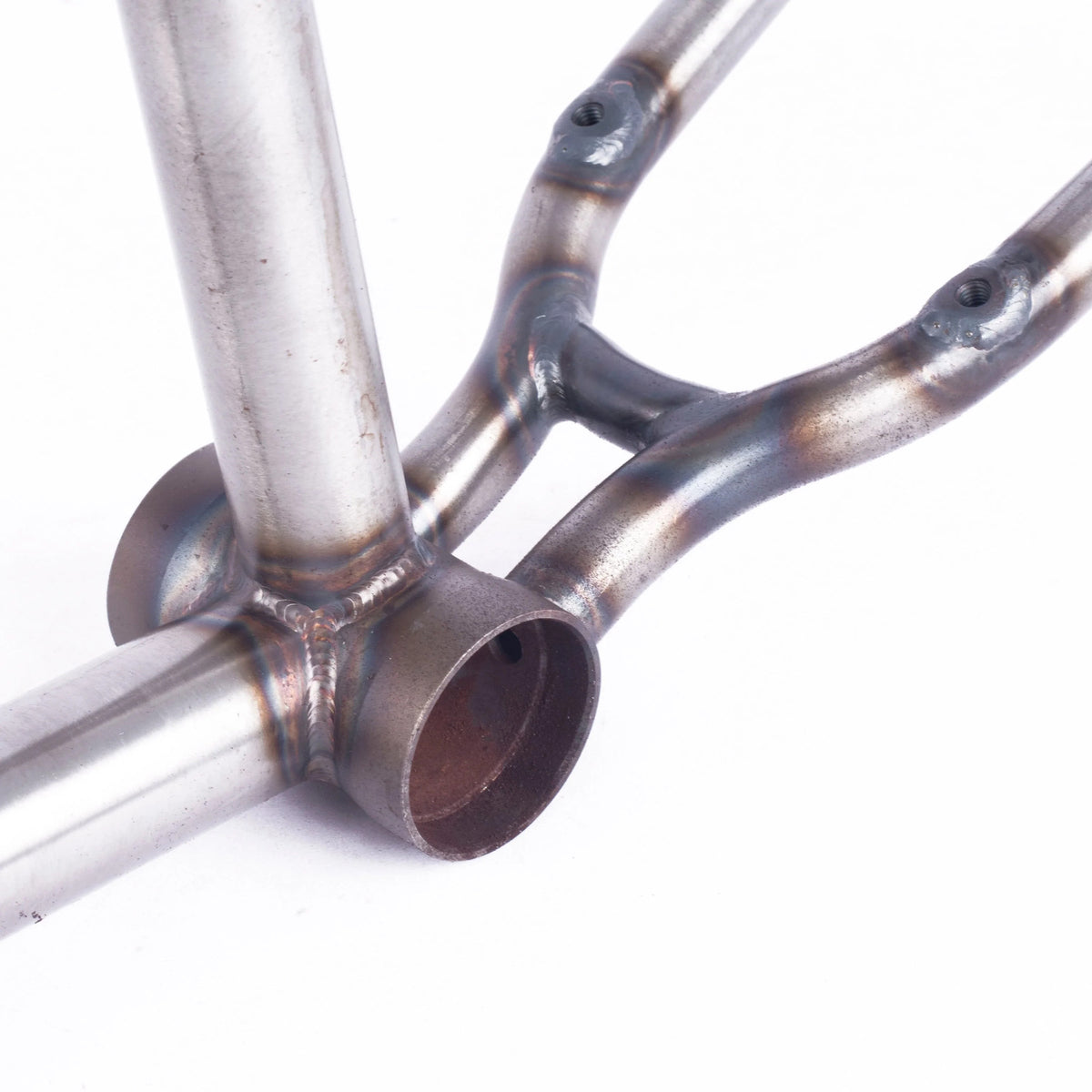 Cult Corey Walsh Frame (Sale)