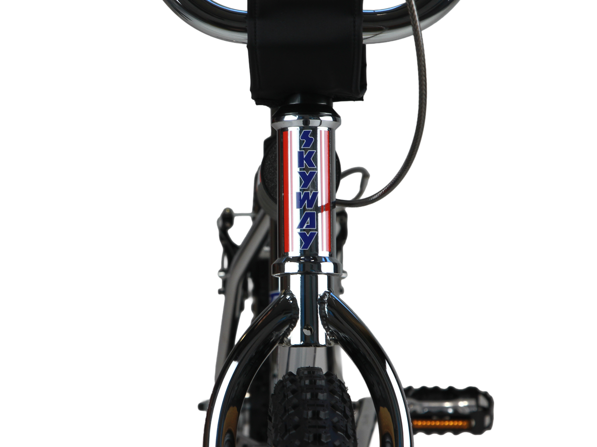 Skyway TA Replica BMX Bike