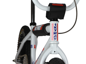 Skyway TA Replica BMX Bike