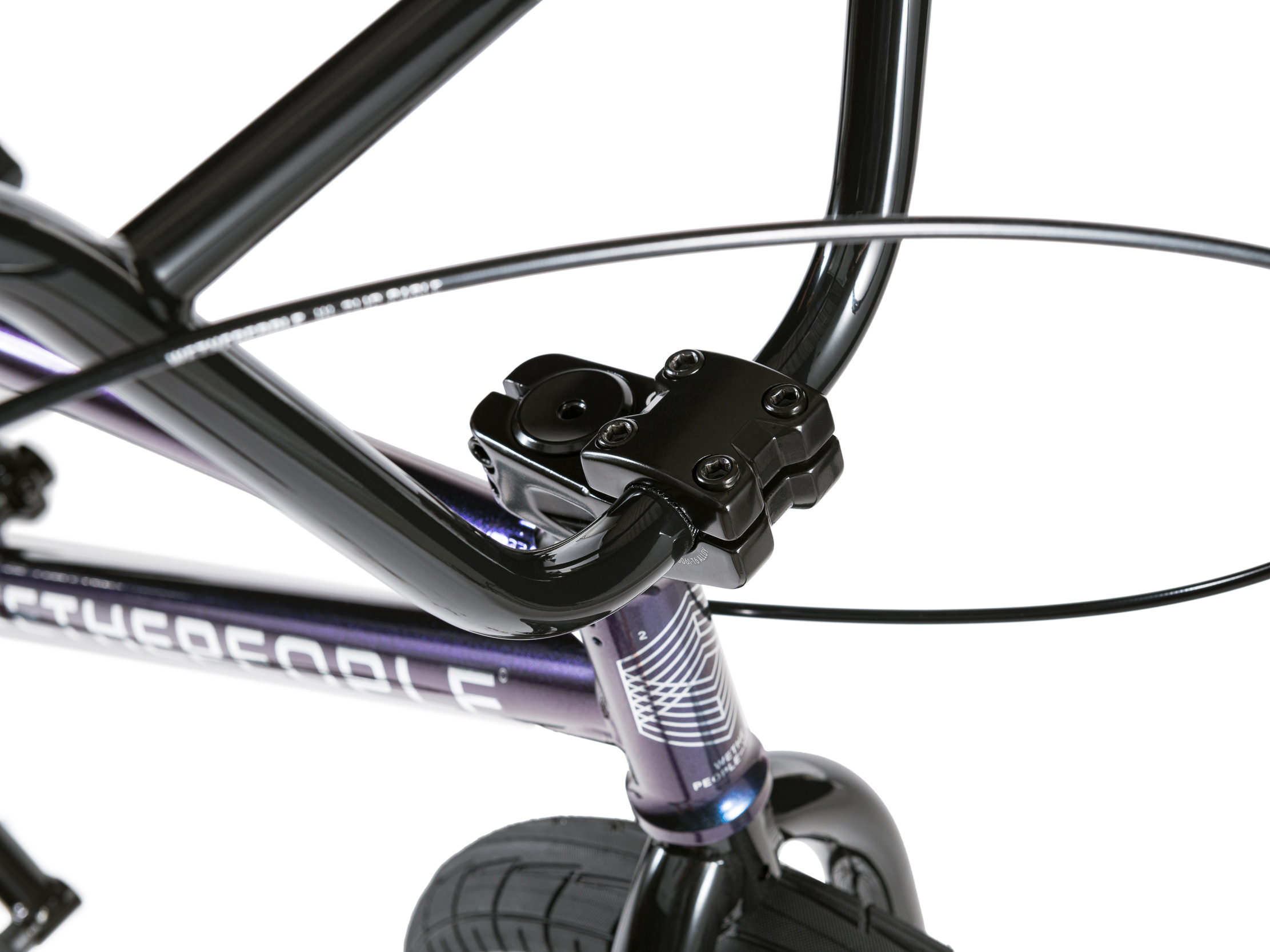 Wethepeople online crs 20